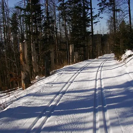 Alpský Dům * Železná Ruda