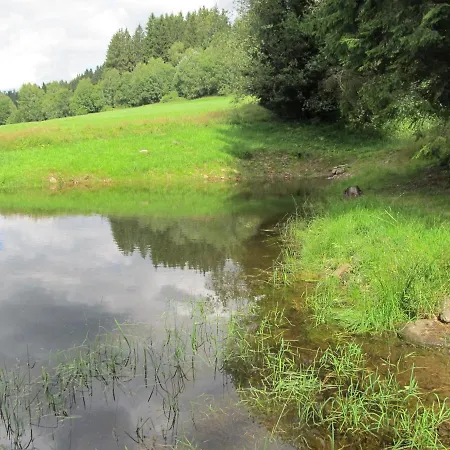 Alpsky Dum Apartament Železná Ruda