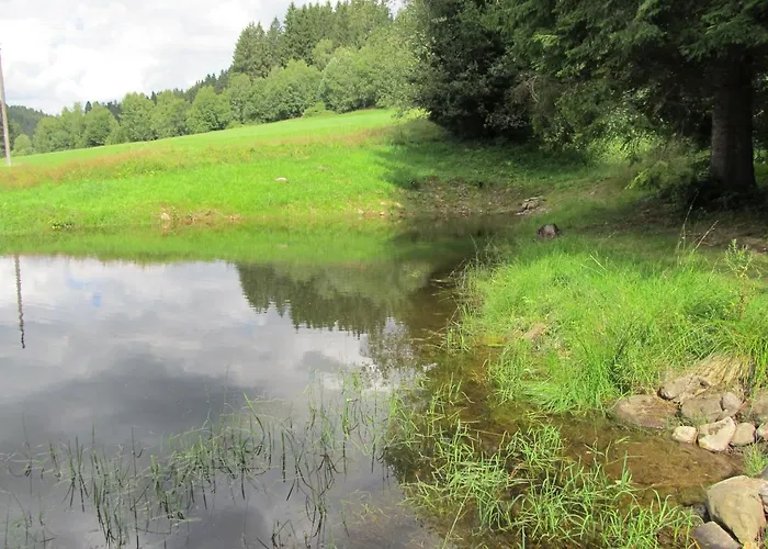 Alpsky Dum شقة Železná Ruda